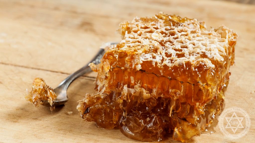 Why is Honey Kosher?